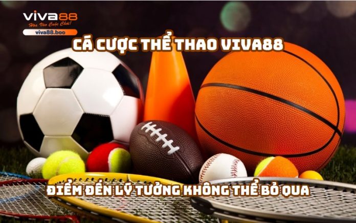 Cá cược thể thao Viva88